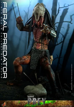 Feral Predator 1/6 Scale Figure by Hot Toys