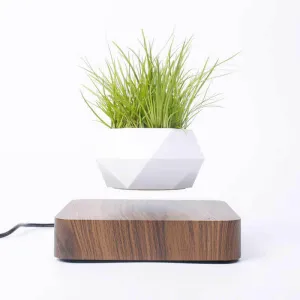 Levitating Air Bonsai Pot Flower Pot Planters Magnetic Suspension Pot