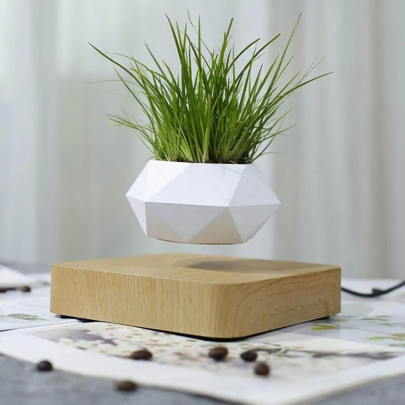 Levitating Magnetic Flower Pot