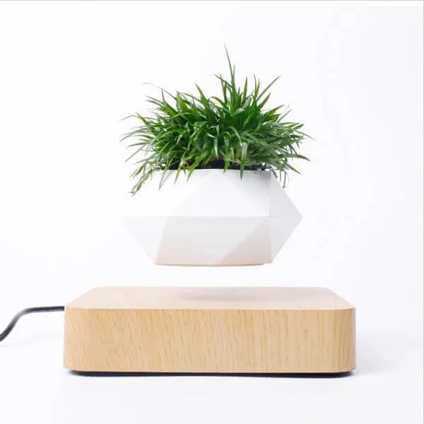 Levitating Magnetic Flower Pot