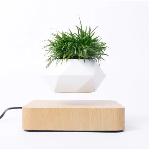 Novelty Magnetic Levitation Rotating Flowerpot