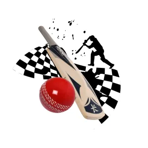 Sticker Hub Cricket Wall Sticker 72cm X 80cm AS234